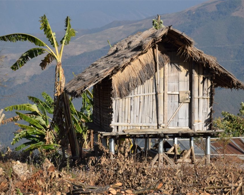 Tuensang District